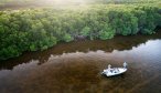 tarpon fishing