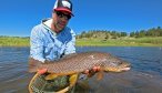 Missouri River Brown Trout