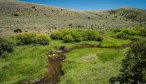 private water fishing montana