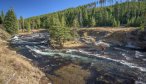 Fly Fishing in Yellowstone