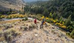 YNP fishing in Yellowstone National Park