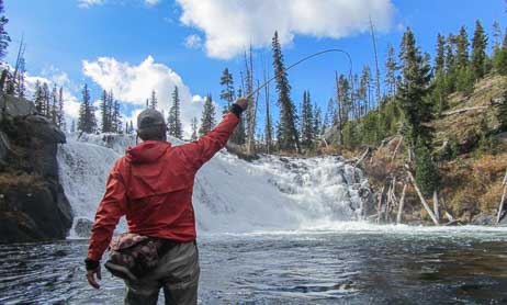 fly fishing yellowstone national park