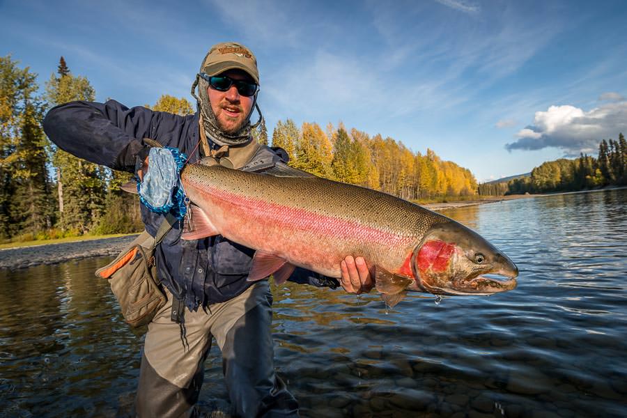 Stu with a wild trophy buck steelhead