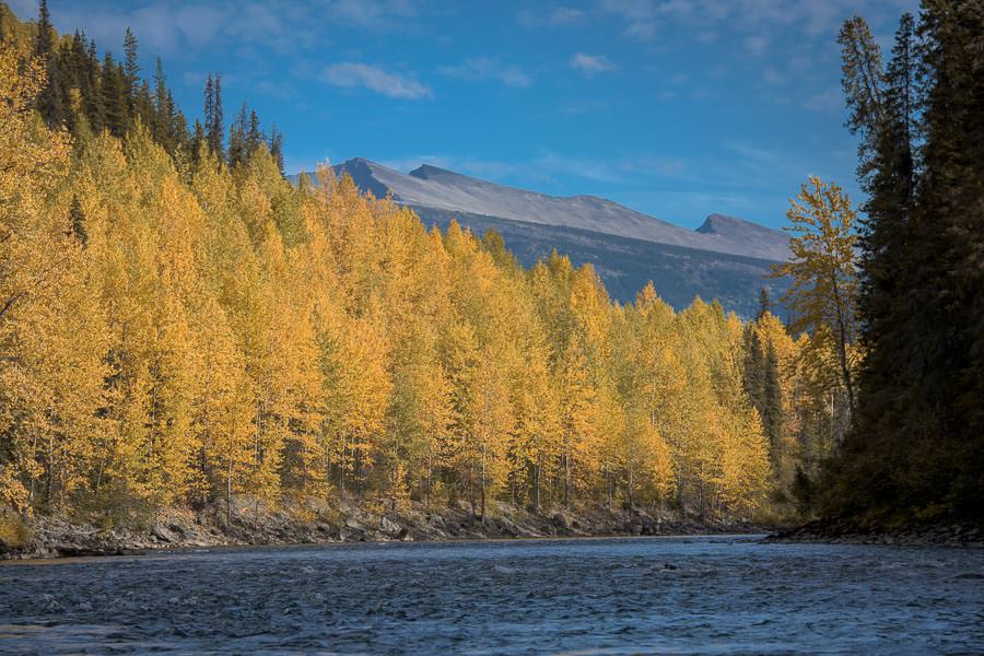 Fall colors at prime time