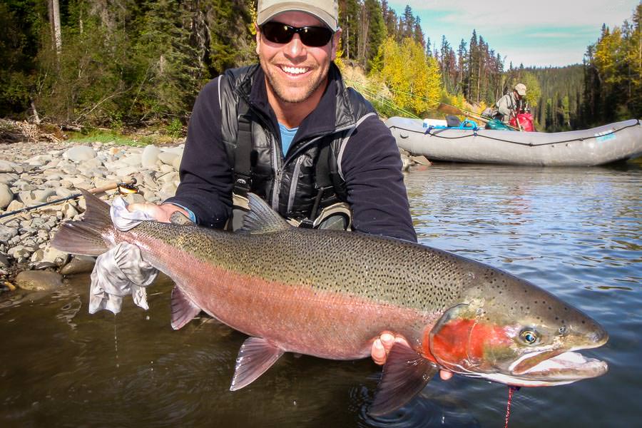 One of the larger Sustut steelhead I have had the pleasure of catching