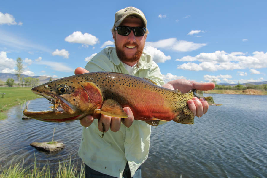 May Stillwater Fishing