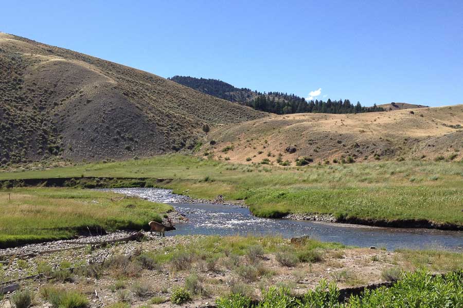 The Gardner alternates between pocketwater and meadow stretches