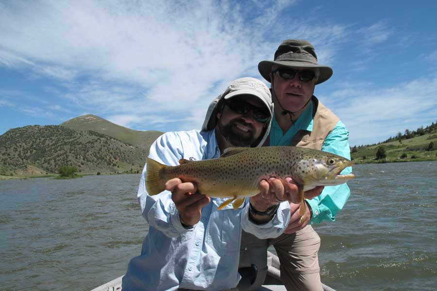 Brown Trout taken on a streamer