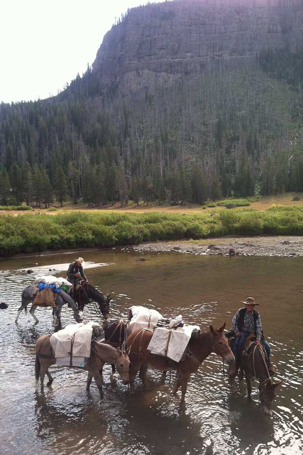 A pack trip is an even better way to beat the crowds!