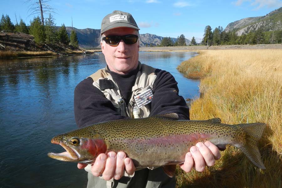 Rainbows swim out of Hebgen Lake in the Fall as well