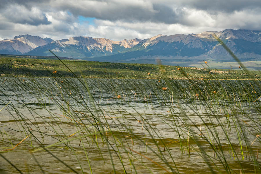 Lago Tres is home to both large trout and good numbers.  Big rainbows cruise the weed edges along the lake