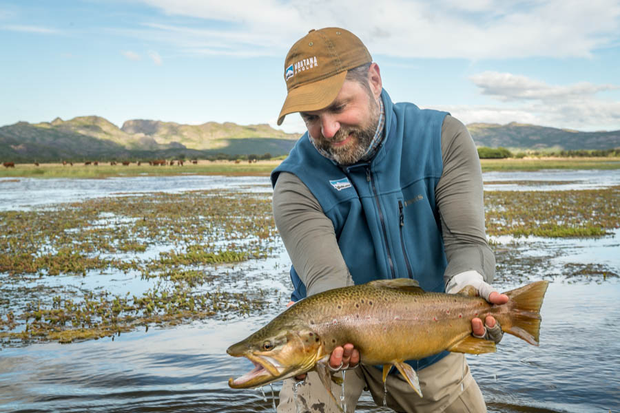 My big fish of the week: a nice brown that we spotted in just inches of water in one of the river's spring creek like side channels