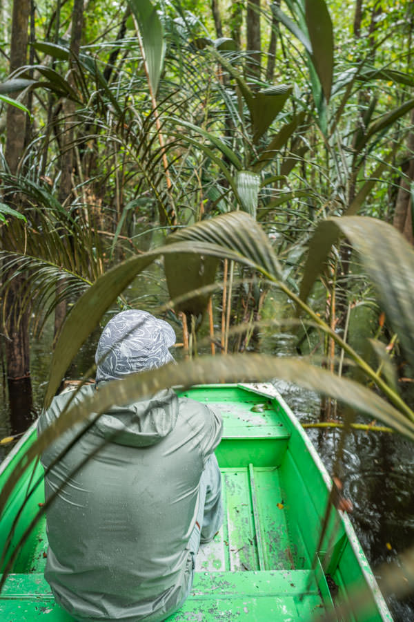 The density of the jungle is awe inspiring and half the fun of the lagoon days was getting to them 