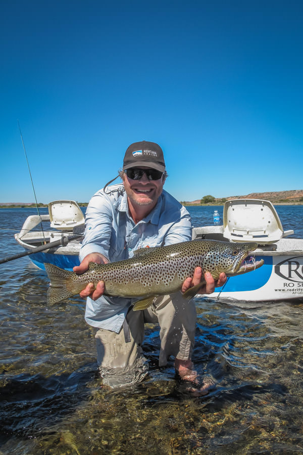 My biggest fish of the trip, caught while twitching huge dries on the Limay