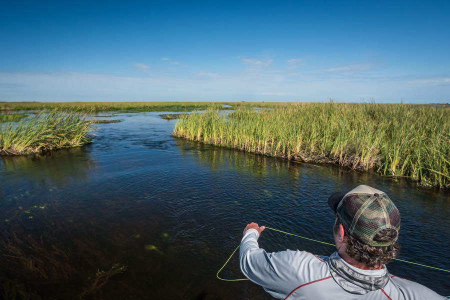 Ibera Marsh fly fishing