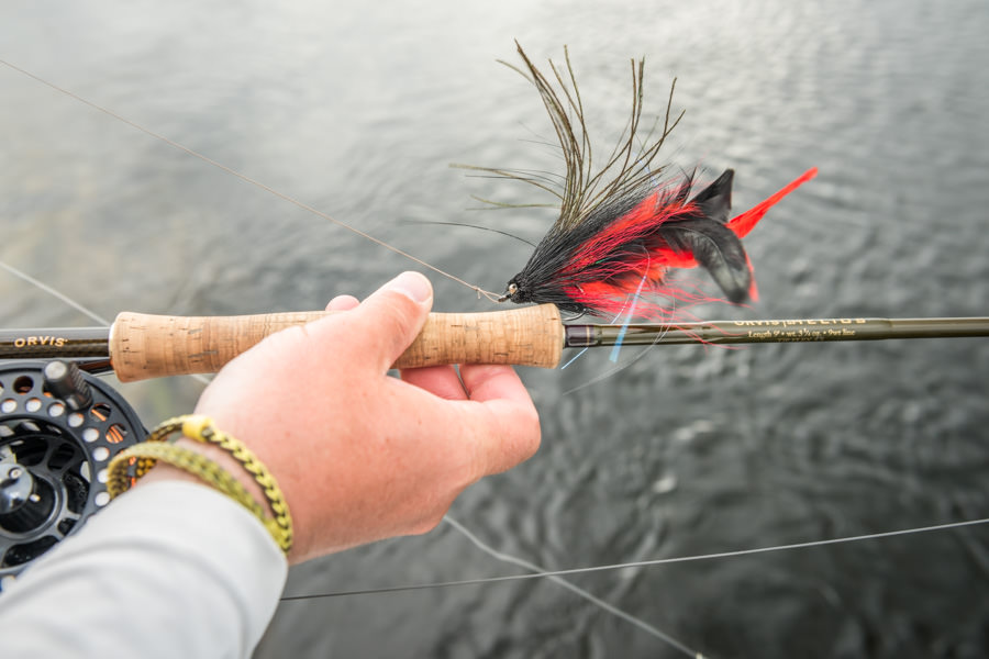 Golden Dorado Flies