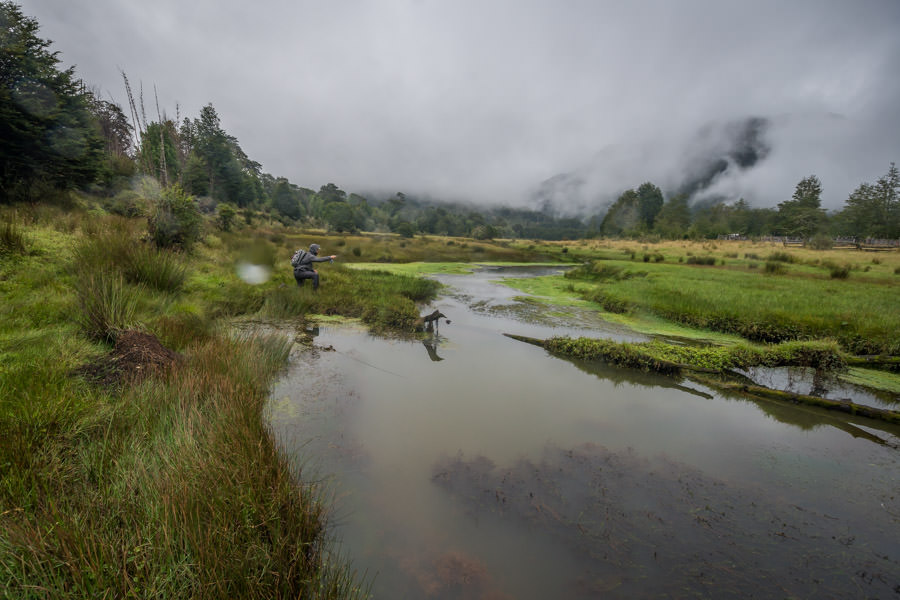 The small camp spring creek