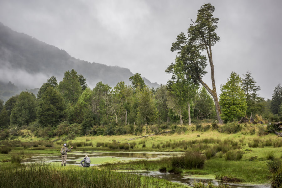 Lagoons at the top of the spring creek