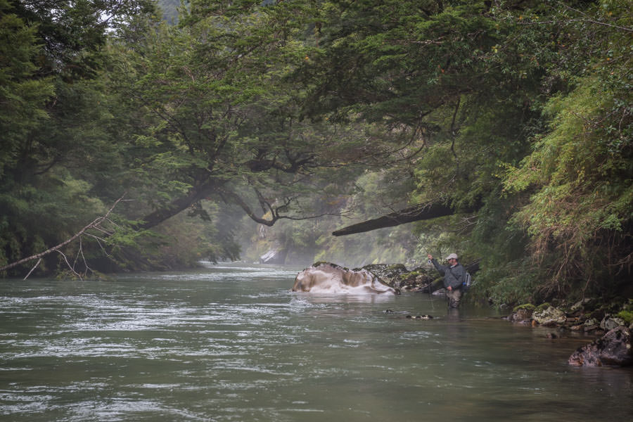 Working a likely seam for wild trout