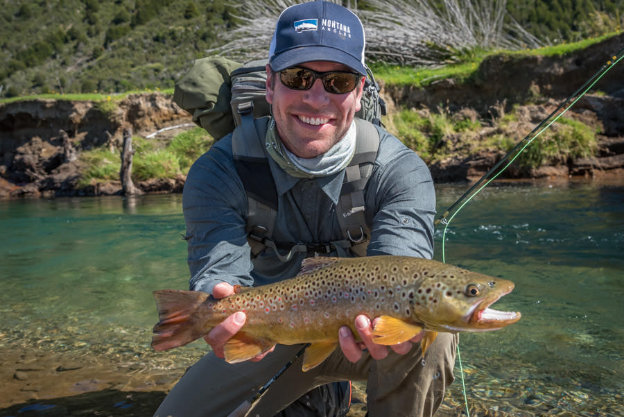 Healthy little brown trout