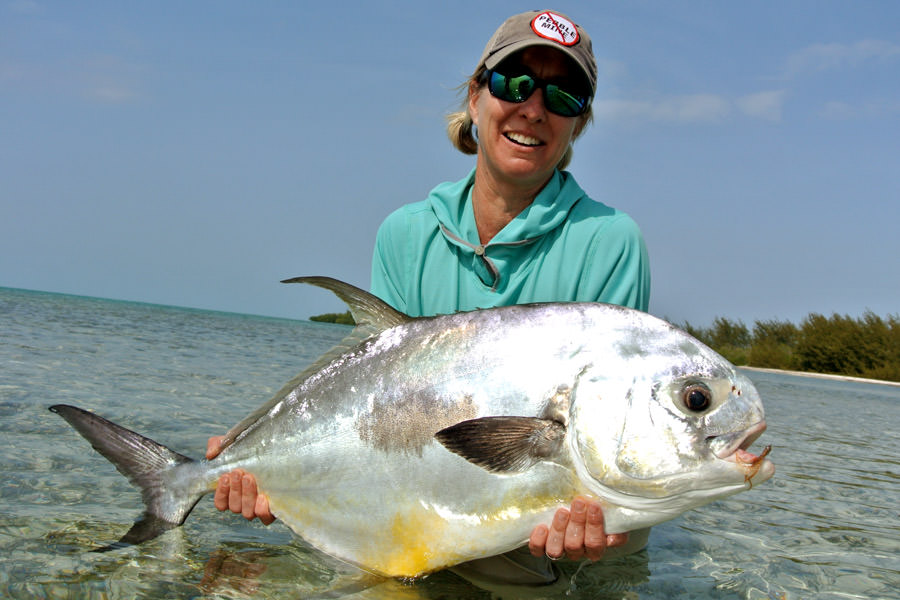 Las Salinas record permit