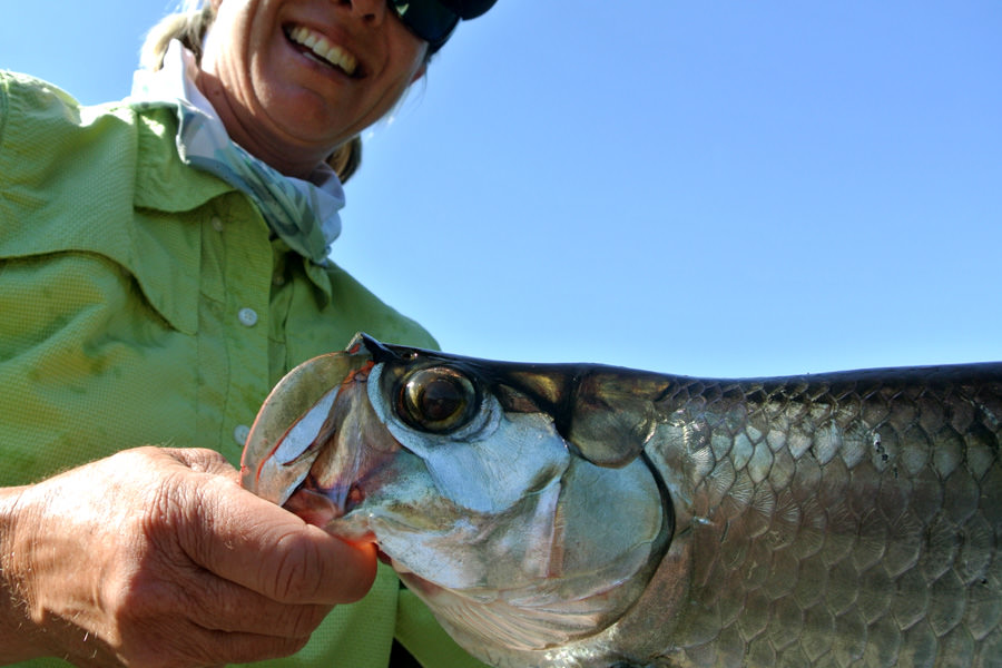 Tarpon fishing in Cuba