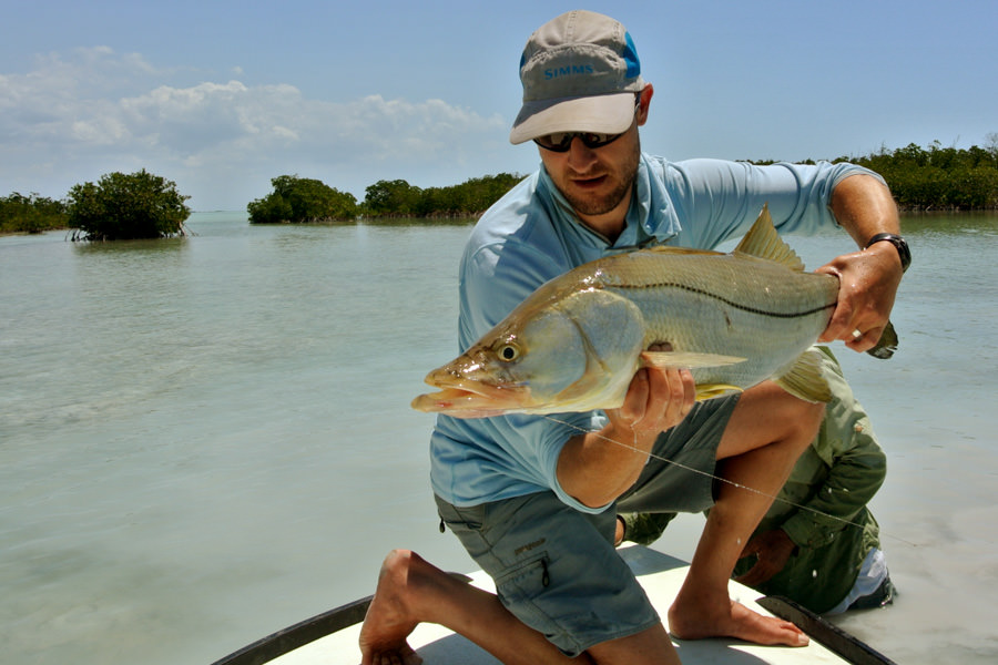 Big snook in Las Salinas