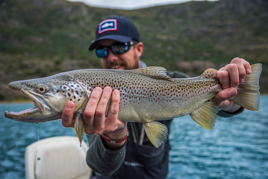 The reward of a hefty brown trout!