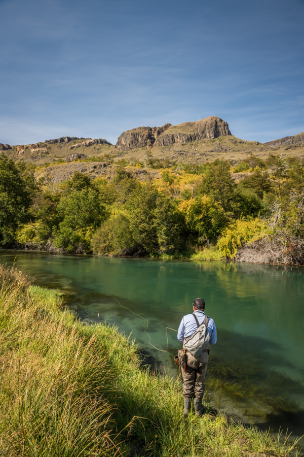 Working big picky wild trout on the Cochrane River, Chile