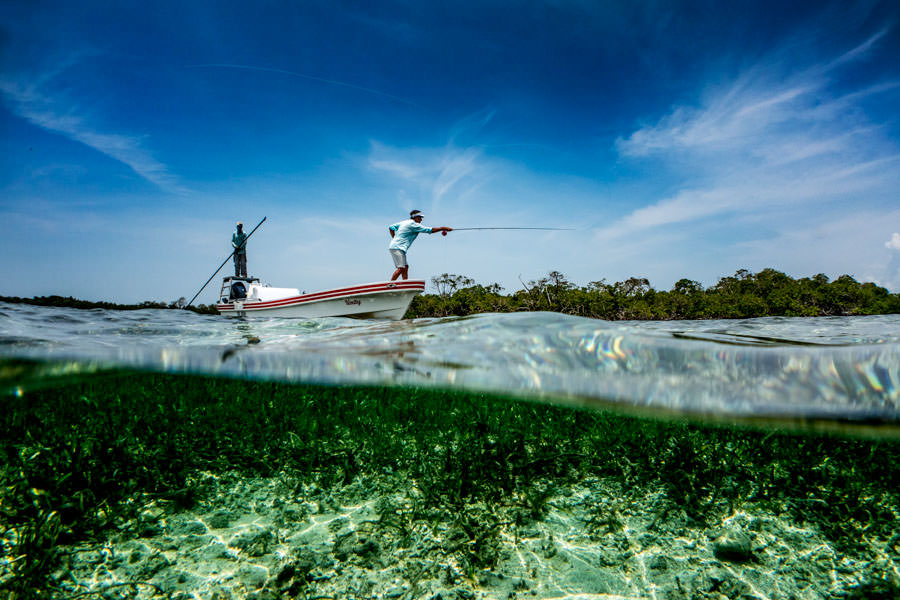 Stalking permit on the flats in Belize!