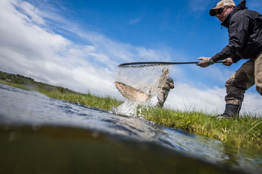 A large lake run rainbow makes it to the net on the Nant-Y-Fall