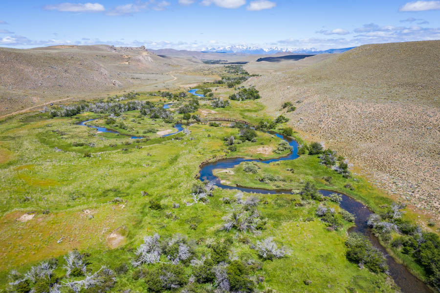 Tecka spring creek runs for over 30 miles across the estancia. It's productive waters are filled with 14-20" rainbows and a few monster browns well over 20"