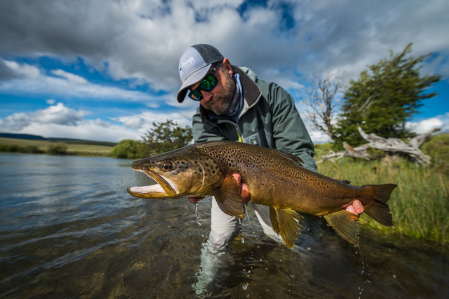 A large brown that annihilated a dragon fly dry that was skated across the surface 