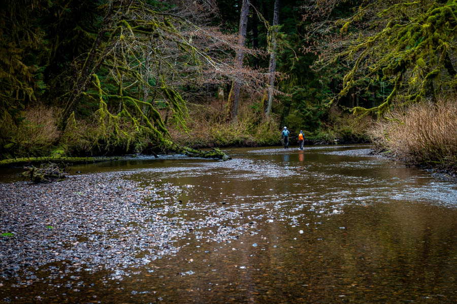 On one of the outer islands we discovered a small gravel bottomed stream perfect for sight fishing. After a morning of striking out we finally ran into several pools filled with fish