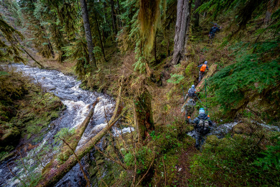 Finding a path through the rainforest can make all the difference. After encountering a gorge we finally found a game trail that led us up and around to access the upper waters of this drainage