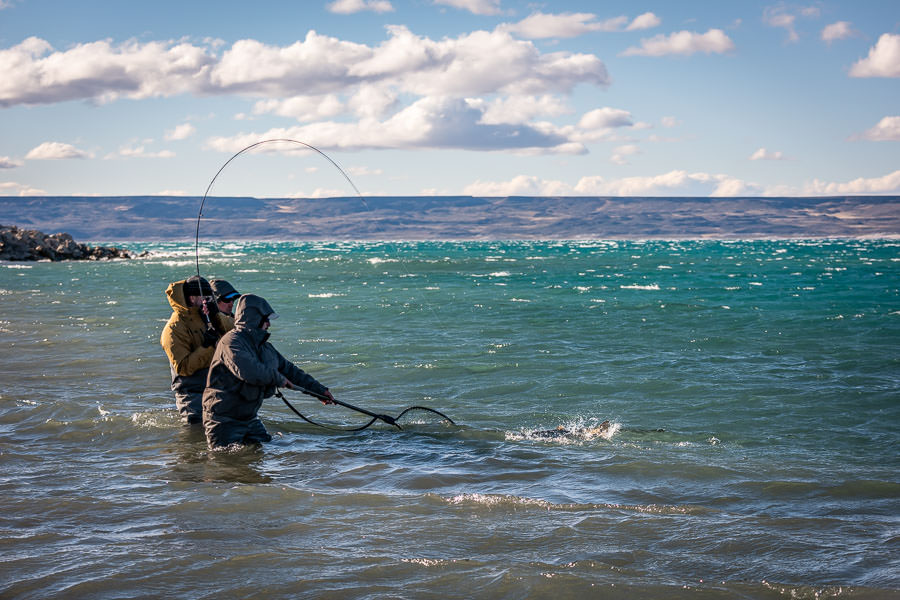 The rainbows of Jurassic Lake are powerful fish, these fish are heavy and fight hard!