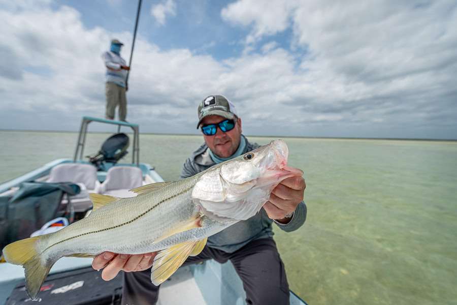 After numerous tries we finally connected on a decent snook. We saw and hooked some much bigger fish that were less photogenic