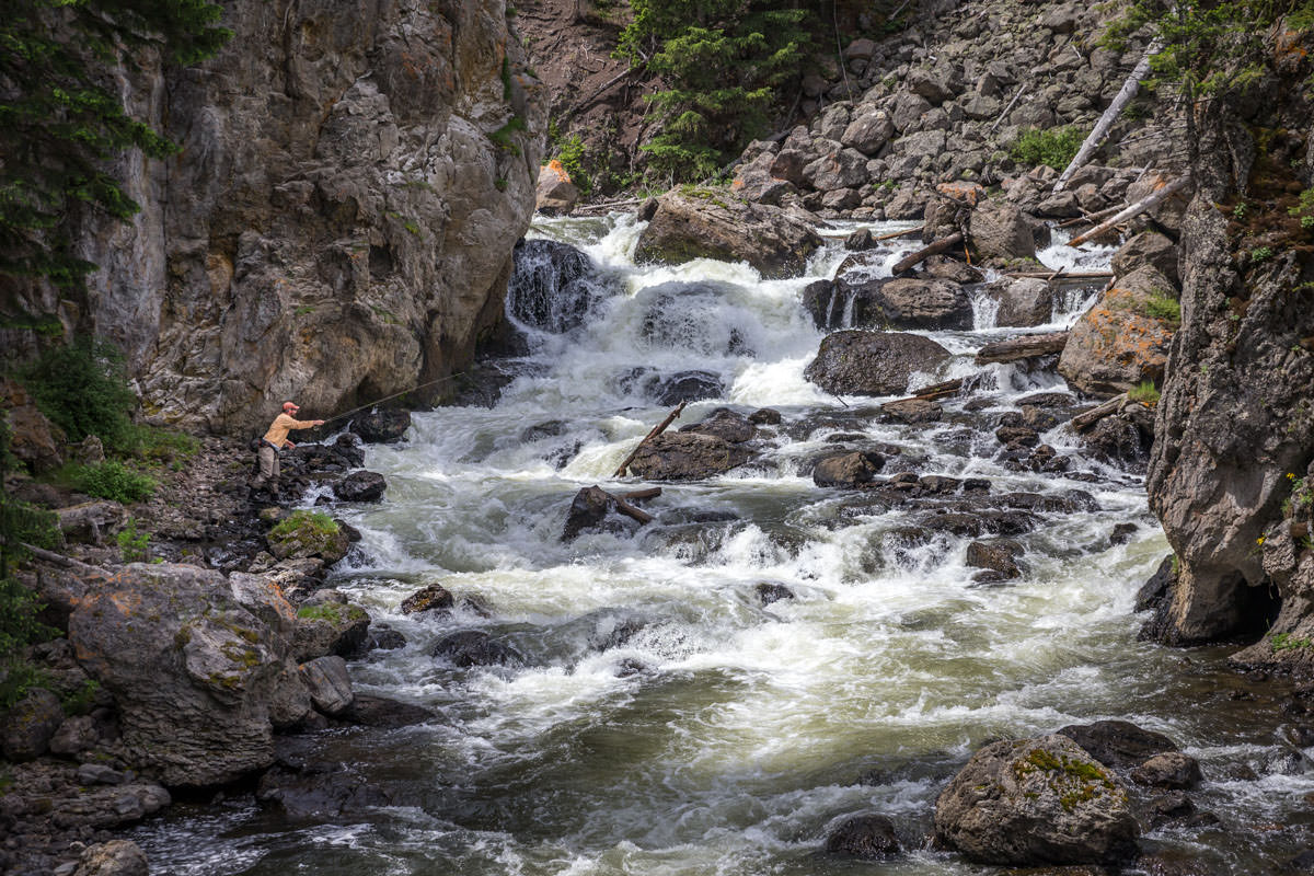 " Riffles and pocket water hold far more fish than deep runs during warmer months of the year because of increased oxygen levels, and more abundant food. "