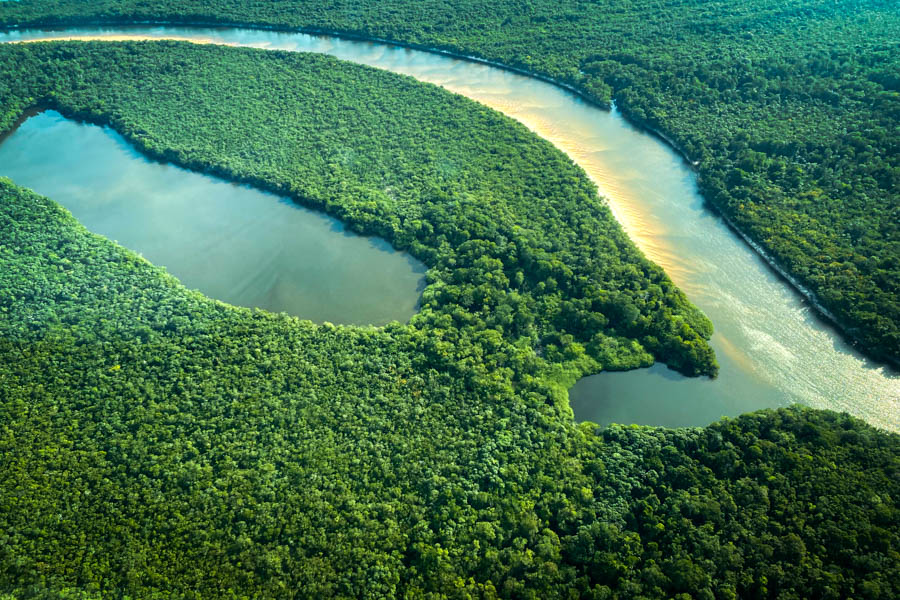 Many oxbow lakes, or lagunas, are located near the main river. These lakes are flooded during the rainy season and are filled with peacock bass and often huge 200+ lb aripaima in the dry season. Some lagunas can be accessed through small connecting channels through the jungle while others you must make a short hike through the forest. For the land-locked lagunas the lodge has stashed extra boats along the lakes