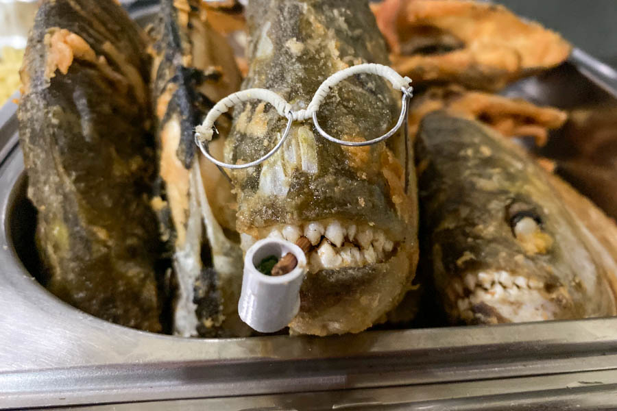 Fried Piranha is always a fun dish served on the last night of the trip. The food at the lodge is terrific and features lots of options ranging from steak to local amazonian fish options. Dinners are buffet style with a few different selections each evening to choose from