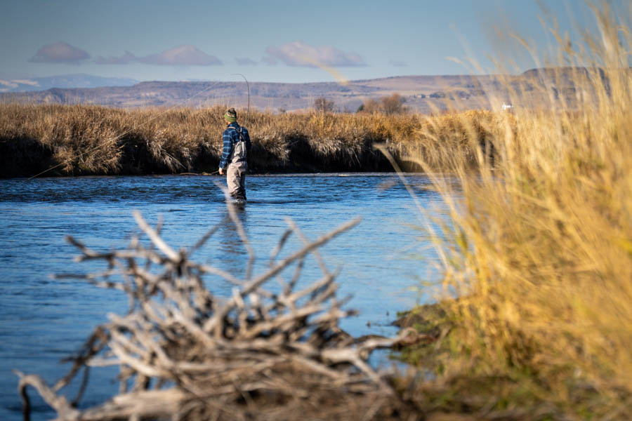 The Lower Madison can be a good option for fly fishing in November.